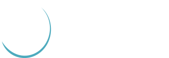 Raptors Cheerleader